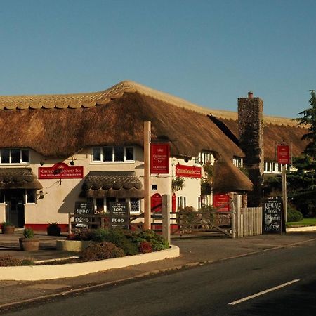 Greyhound Country Inn Honiton Buitenkant foto