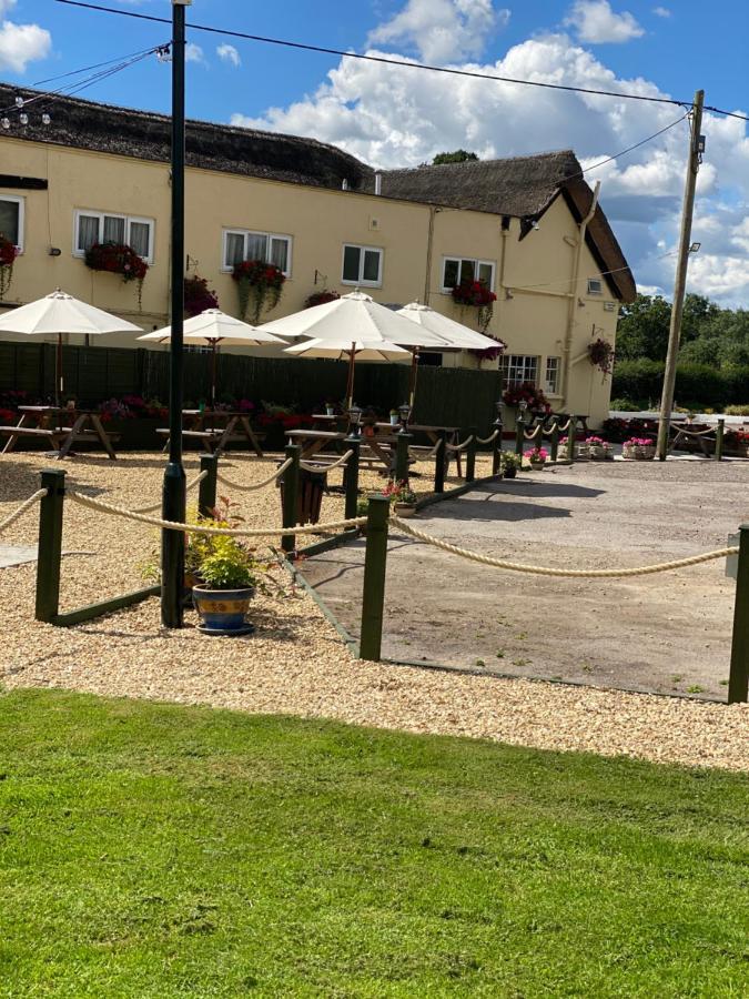 Greyhound Country Inn Honiton Buitenkant foto