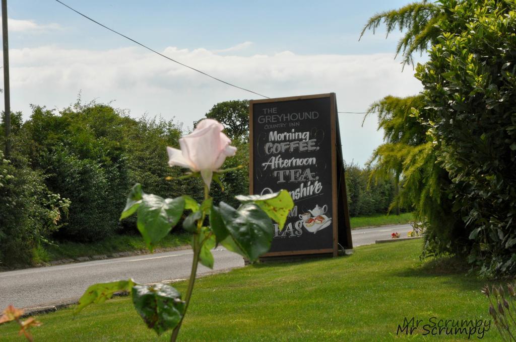 Greyhound Country Inn Honiton Buitenkant foto
