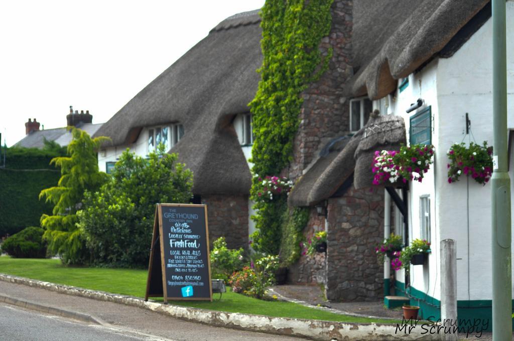 Greyhound Country Inn Honiton Buitenkant foto