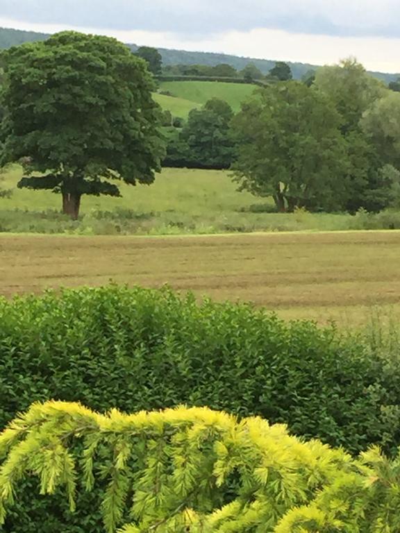 Greyhound Country Inn Honiton Buitenkant foto