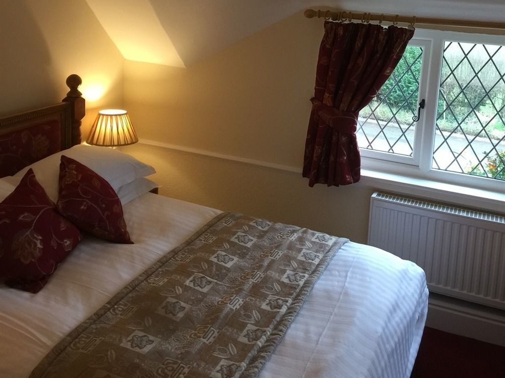 Greyhound Country Inn Honiton Buitenkant foto